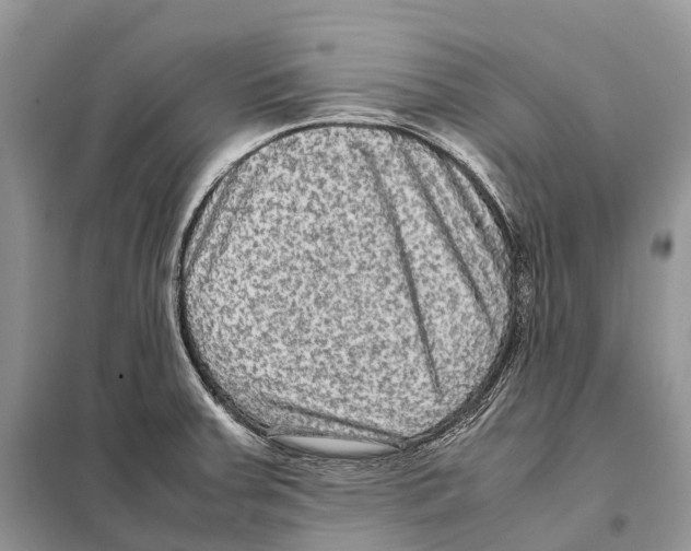 X0000097921379200804111128