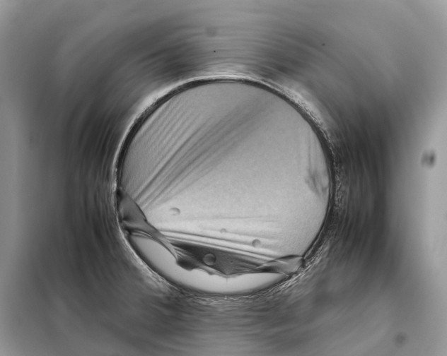 X0000097921380200804111128