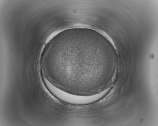 X0000097921381200804111128