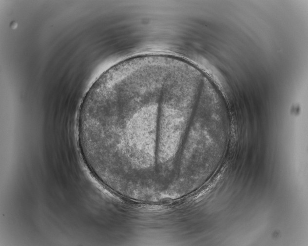 X0000097921382200804111128