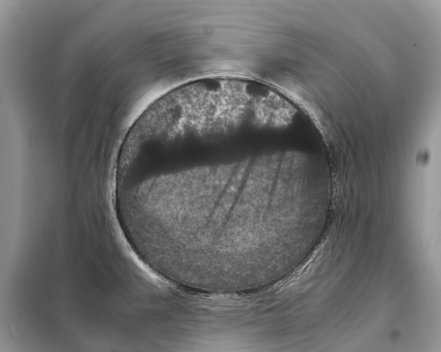 X0000097921383200804111128