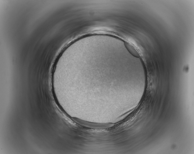 X0000097921384200804111128