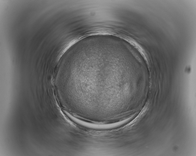 X0000097921385200804111128