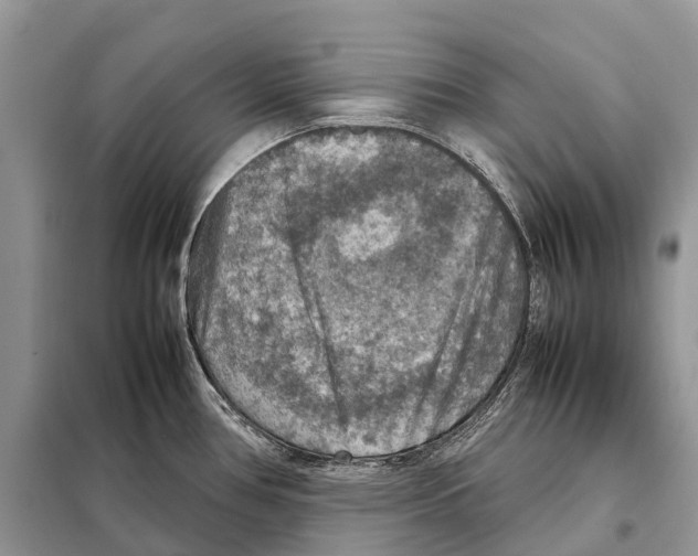 X0000097921386200804111128