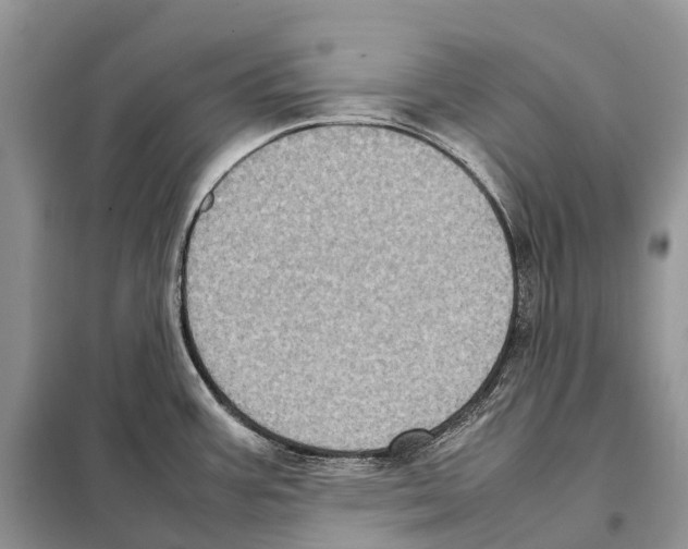 X0000097921387200804111128