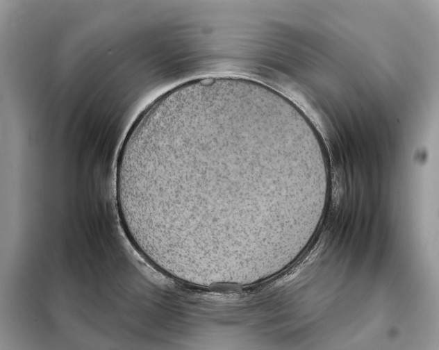 X0000097921388200804111128