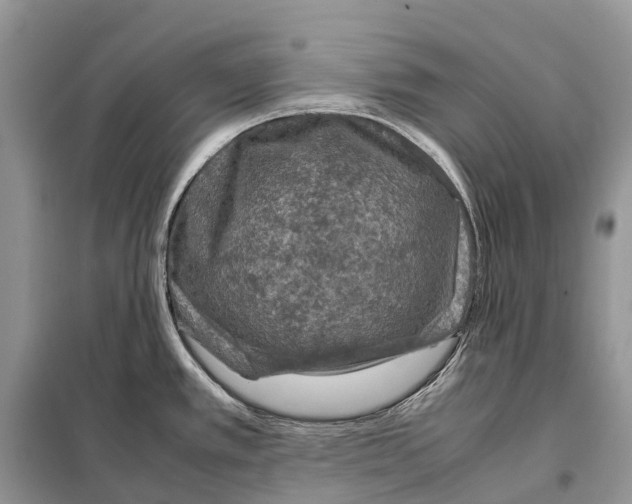 X0000097921389200804111128