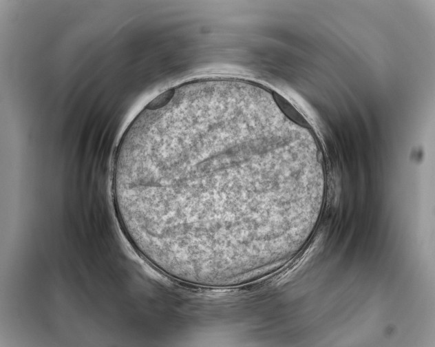 X0000097921390200804111128