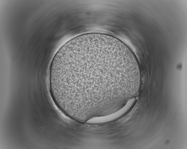 X0000097921391200804111128