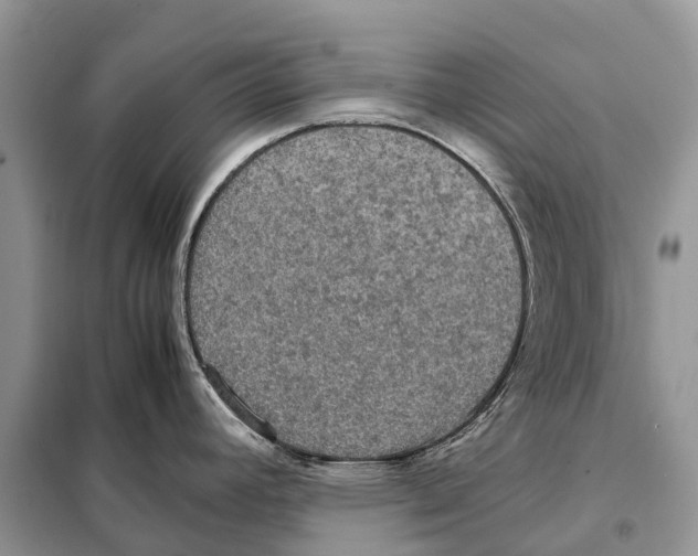 X0000097921392200804111128