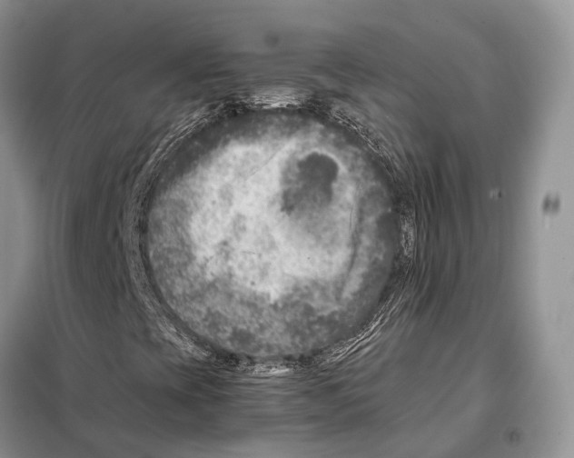 X0000097921393200804111127