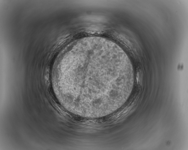 X0000097921396200804111127