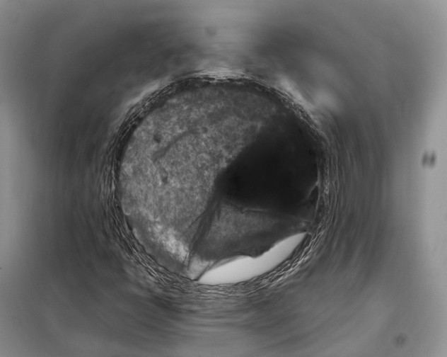 X0000097921398200804111127