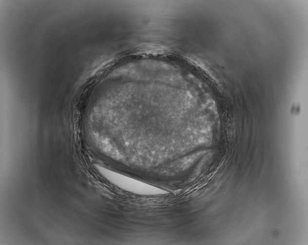 X0000097921399200804111127