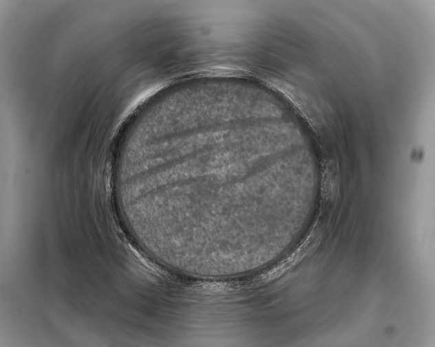 X0000097921402200804111127