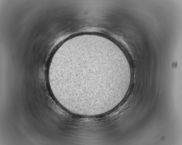 X0000097921404200804111127