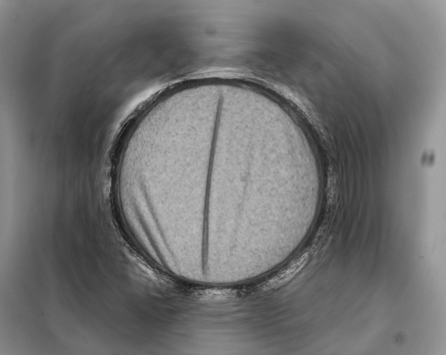 X0000097921406200804111127