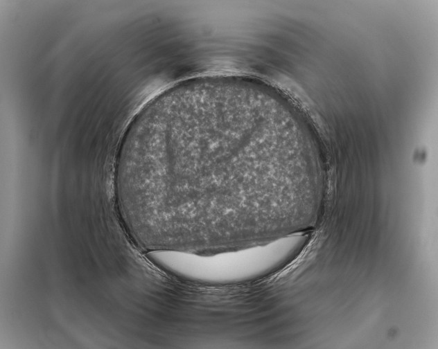 X0000097921409200804111127