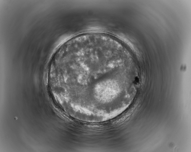 X0000097921413200804111127