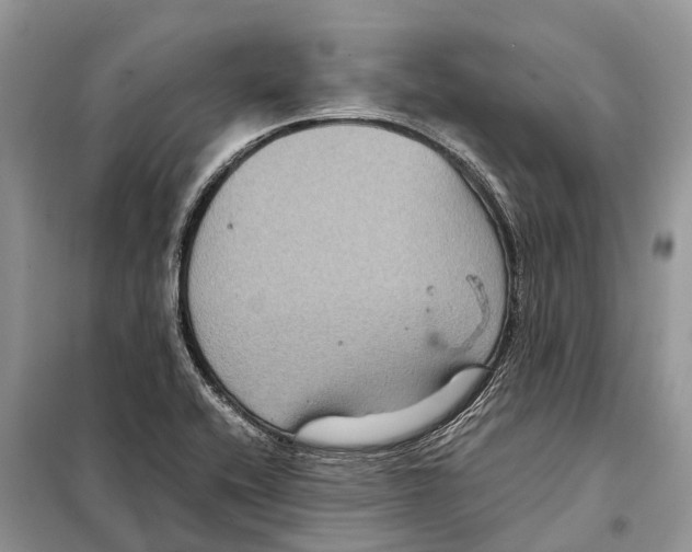 X0000097921416200804111127