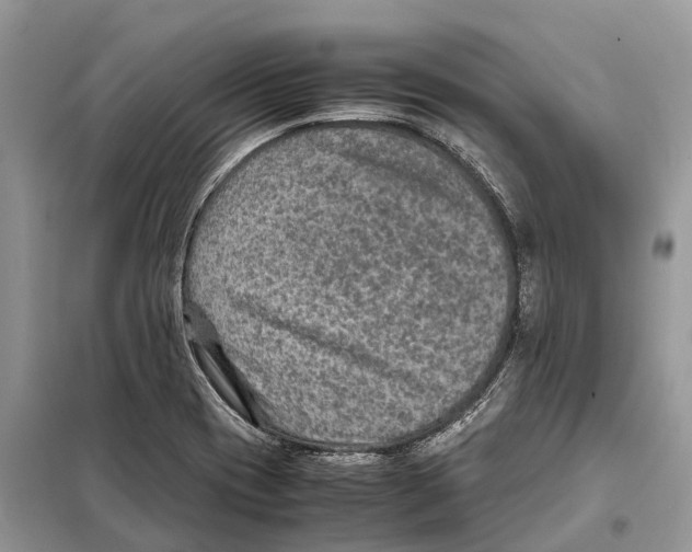 X0000097921417200804111127