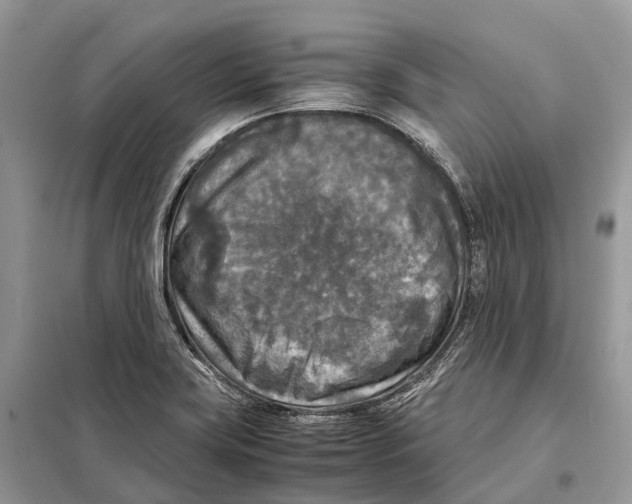 X0000097921419200804111127