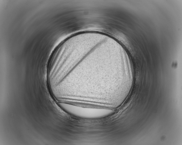 X0000097921420200804111127