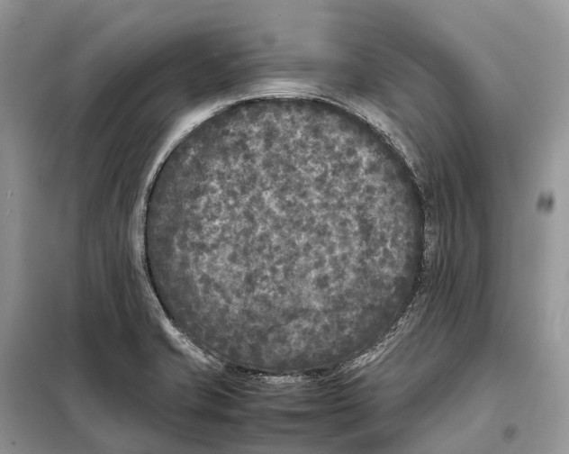 X0000097921421200804111127