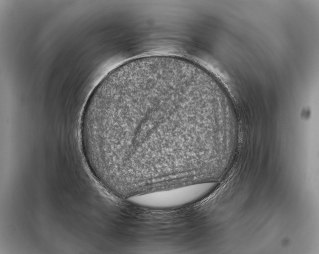 X0000097921423200804111128