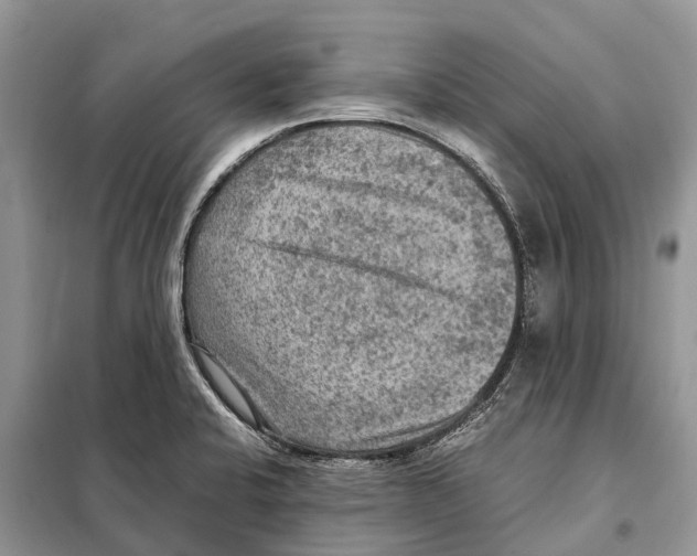 X0000097921424200804111128