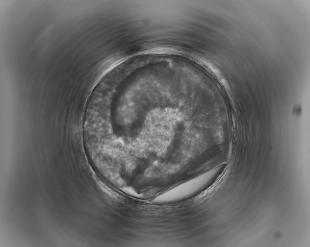 X0000097921425200804111128