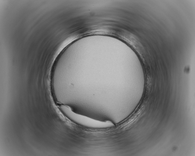 X0000097921426200804111128