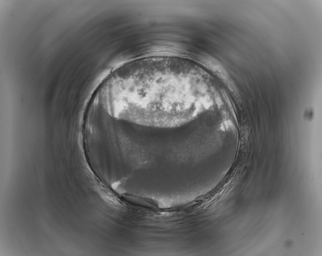 X0000097921427200804111128