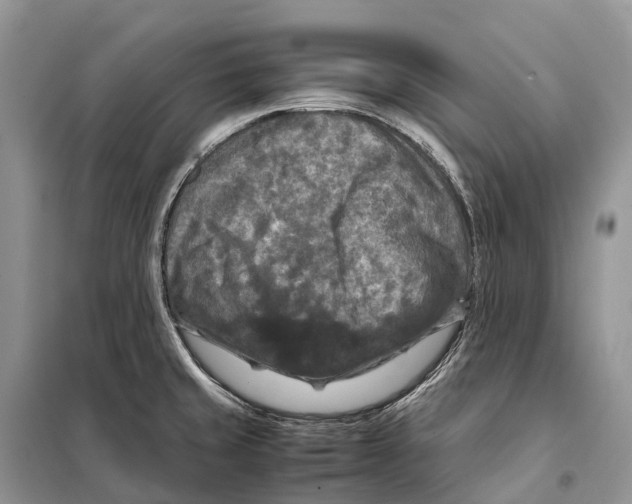 X0000097921429200804111128