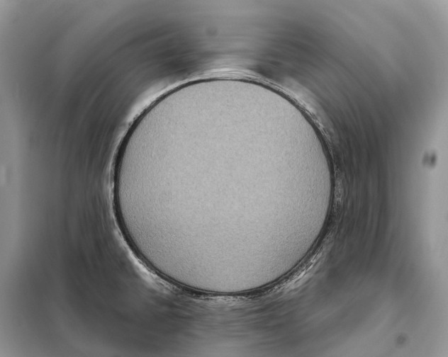 X0000097921430200804111128