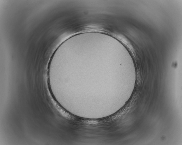 X0000097921431200804111128