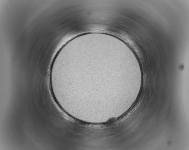 X0000097921432200804111128