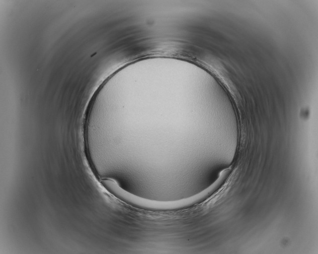 X0000097921434200804111128