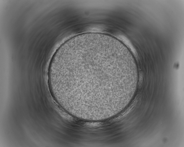 X0000097921435200804111128