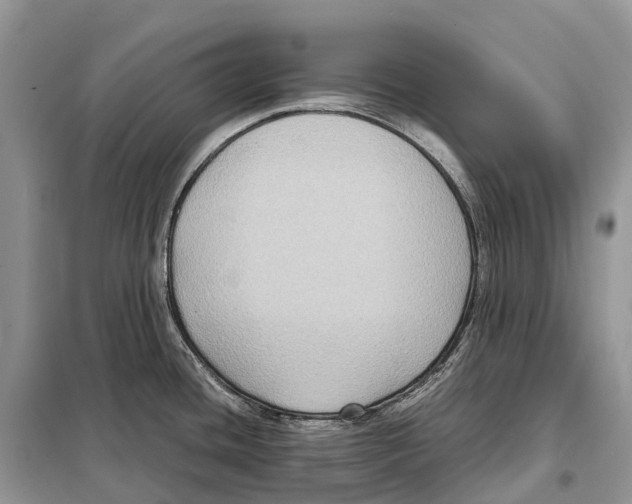 X0000097921436200804111128