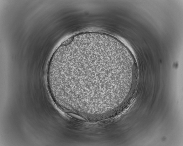 X0000097921437200804111128