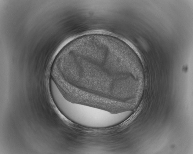 X0000097921438200804111128