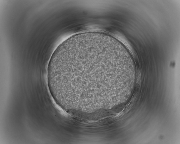 X0000097921439200804111128