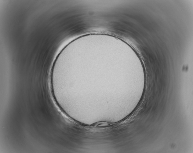 X0000097921440200804111128