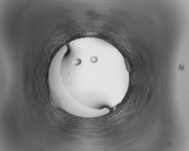 X0000097921441200804111127