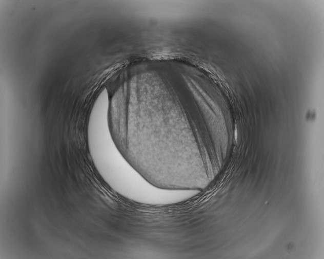 X0000097921444200804111127