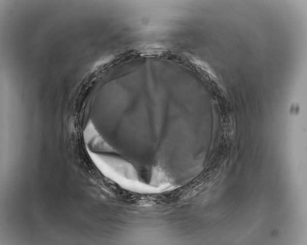 X0000097921445200804111127