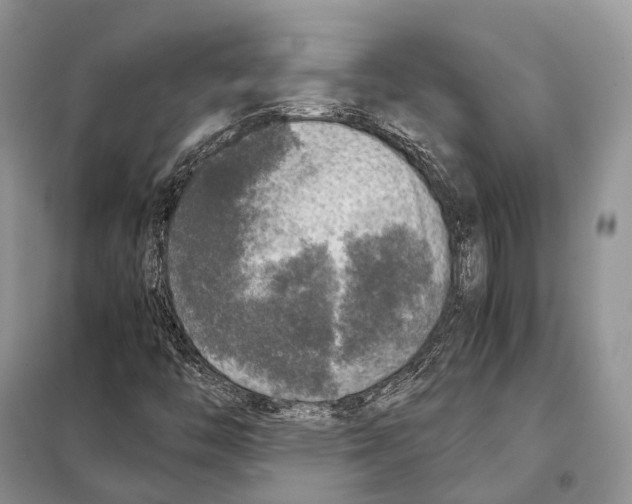 X0000097921446200804111127