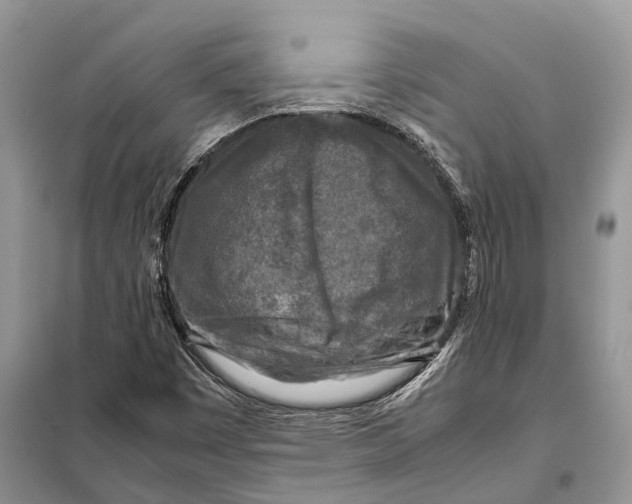 X0000097921449200804111127