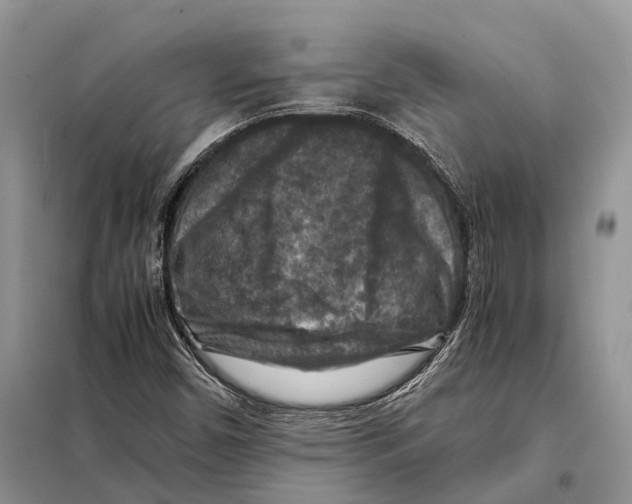 X0000097921450200804111127